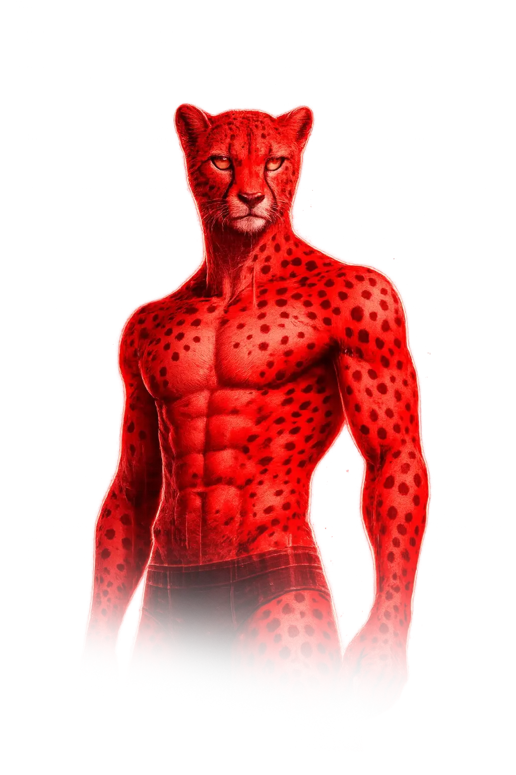Ectomorphe