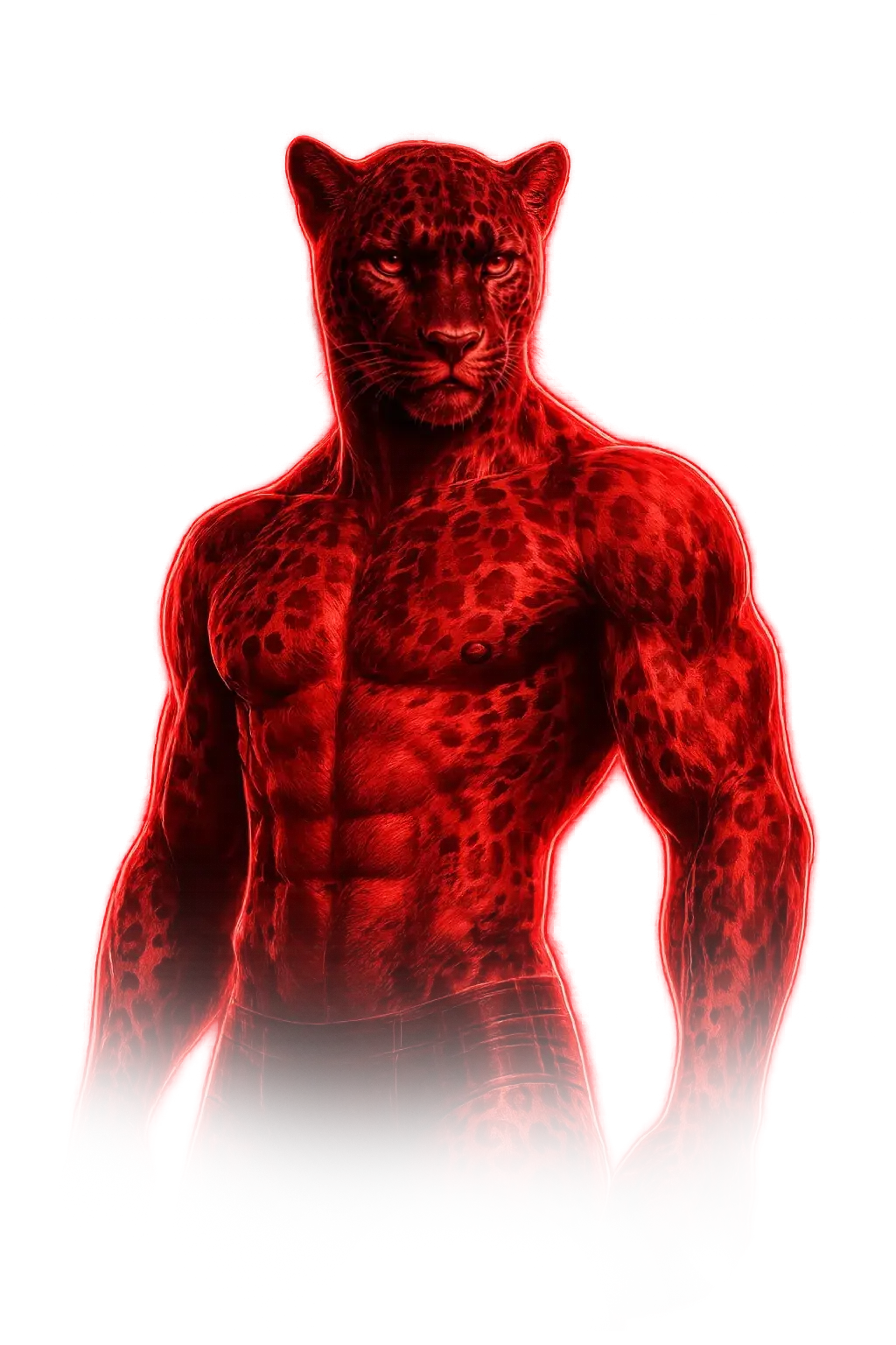 Mésomorphe